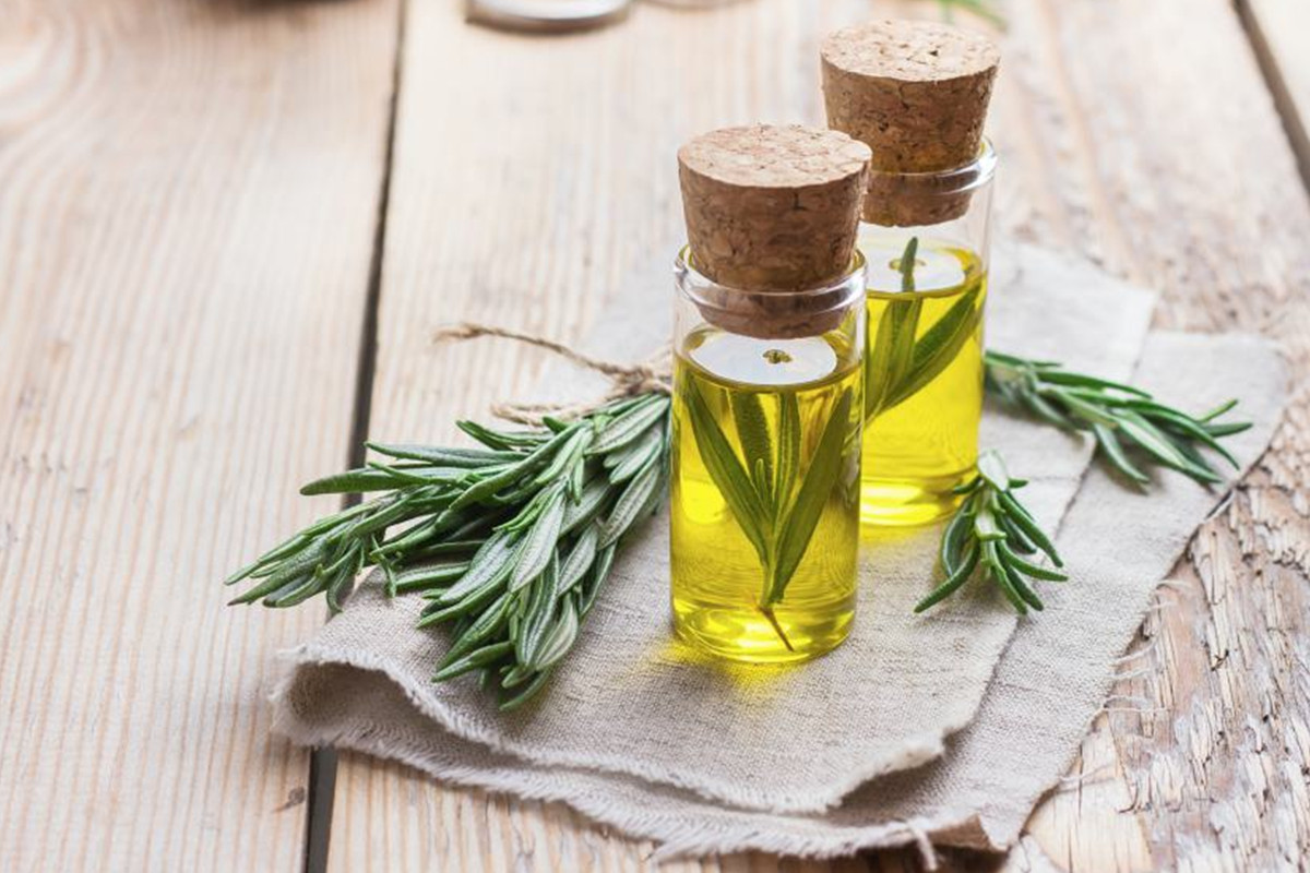 What You Need To Know About Handcraft Rosemary Essential Oil